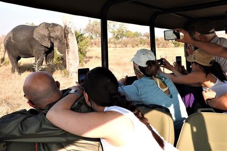 Private 4x4 Safari Tour in Kruger National Park
