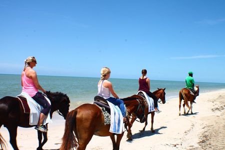 Horseback Riding & Bamboo Rafting Ocho Rios (Transportation Only)