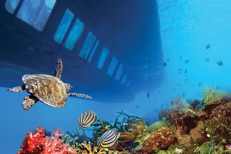 2 Hours Sea Scope Semi Submarine with transfer from Marsa Alam