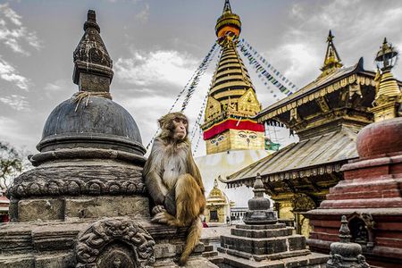Private Kathmandu Sightseeing Tour 4 UNESCO World Heritage Sites