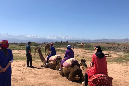 Agafay Desert: Excursion Quad bike, Camel Ride, dinner and Show 