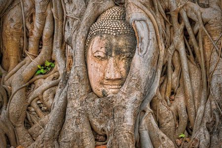 From Bangkok: Ayutthaya Ruins Day Trip & Sunset Boat Cruise