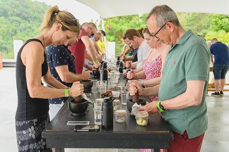 Hotel Chocolat Bean to Bar Experience in St. Lucia