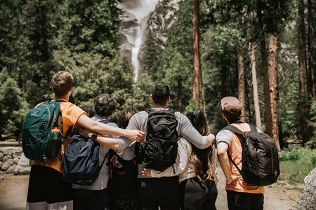Yosemite Highlights & Giant Sequoias Day Tour from San Francisco