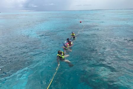 Snorkel Tours to Key Largo reef for up to 6 people-INCLUDES GEAR!