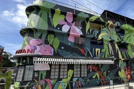 Half-Day: Old San Juan, Calle Cerra,Santurce, La Placita & Loíza 