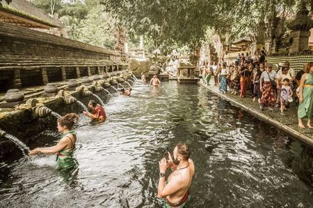 UBUD Spring Temple, Waterfall, Rice Terraces Private Tour