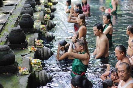 Half Day Tour: Discover Best of Ubud in 5 Hours