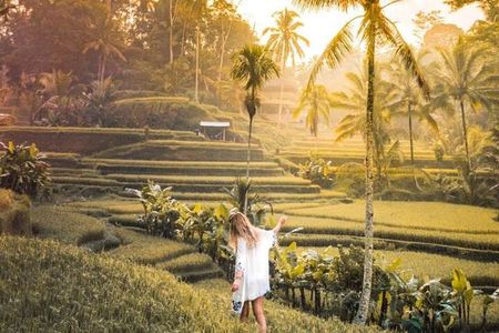 Half Day Tour: Discover Best of Ubud in 5 Hours
