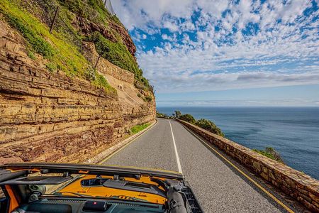 Half day Peninsula & Wine Combo tour