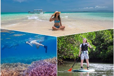 Ishigaki Mangrove SUP or Canoeing and Phantom Island Snorkeling