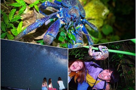 Okinawa Ishigaki Island Night Starry sky and Jungle night tour