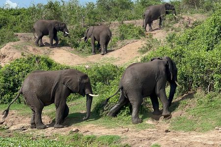 3 Day Queen Elizabeth National Park Budget Tour
