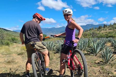 MTB Bike Tour: Local Trails in Monte Albán and Atzompa
