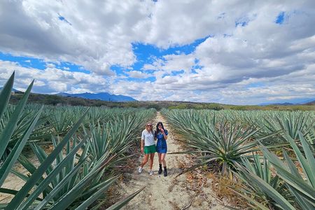 Danzantes Premium Mezcal, Hierve el Agua, Textiles & Lunch