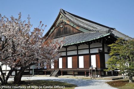 Kyoto and Nara Day Trip - Golden Pavilion and Todaiji from Osaka
