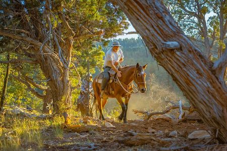 East Zion Checkerboard Evening Shadow Horseback Ride
