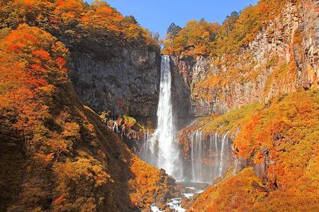 Full-Day Private Nikko Tour from Tokyo wd English Speaking Driver