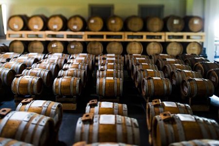 Visit at Modena Balsamic Vinegar producer