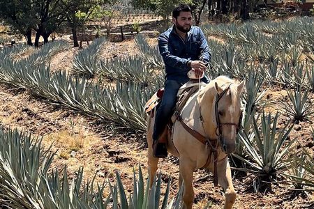 Visit to Tequila and Horseback Riding Among the Agave Landscape