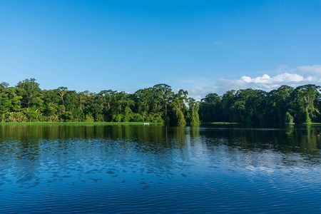 Tortuguero: Kayak tour + Spawn turtle or night jungle 
