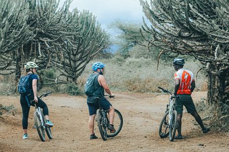 Private Cycle to Kilimanjaro Bike Park Safari