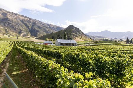Award Winning Premium Wine Tour Queenstown Tasting at 4 Wineries