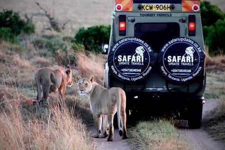 3 Days 2 nights Group joining Midrange Safari Tour in Masai maraa