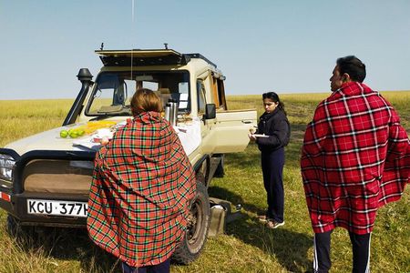 3 Days Best of MasaiMara Wildlife Private Safari, Mid-Range offer
