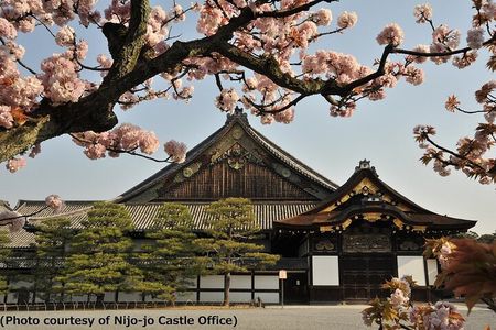 Kyoto & Nara Day Trip - Golden Pavilion & Todaiji from Kyoto