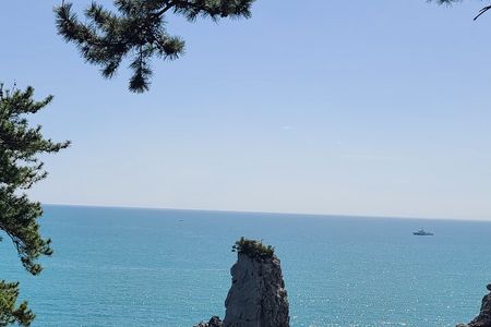 Jeju island private DAY Tour - South of Jeju