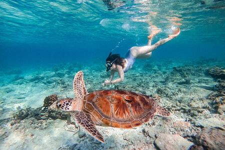 Full Day Snorkeling with Turtles in Sharm El Naga from Hurghada