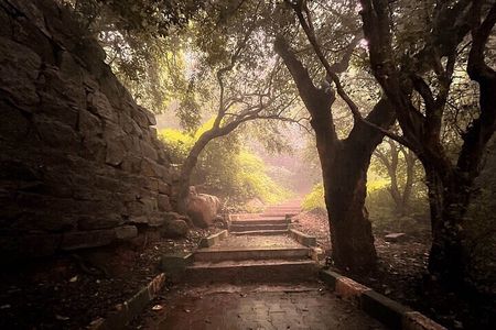 Nandi Trail Tour