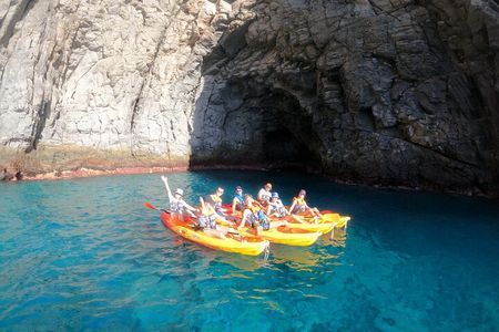 Tenerife: Kayak and snorkel with marine life safari