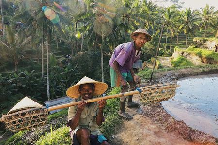 Full Day – Ubud Art Village and Mount Batur Kintamani with Lunch