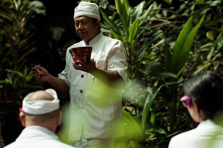 Bali Spiritual: Blessing Ceremony, Pristine Nature and Transfer