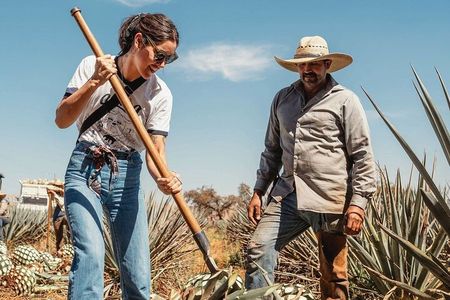 Private Tour to Distillery Tequila Ocho and Arandas
