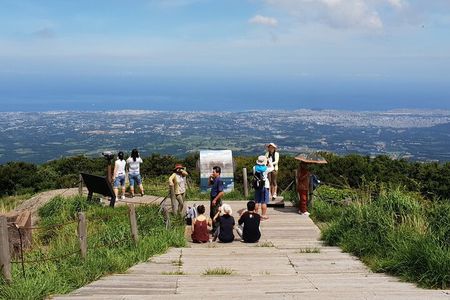 Jeju Premium Small Group UNESCO Day Tour - South Course