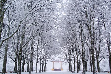 Nami Island & Petite France with Italian Village One-Day Tour 