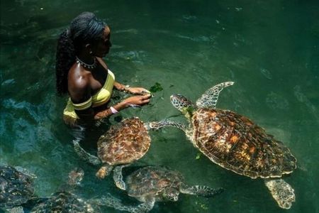 Full Day Private Zanzibar Tour with Sunset Beach