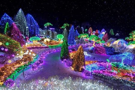 Alpaca, Nami, Petite Fr, Italian Village, Garden of Morning Calm