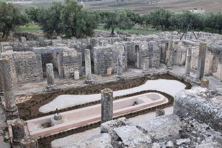 Captivating guided antiquity Bulla Regia & Dougga from Hammamet
