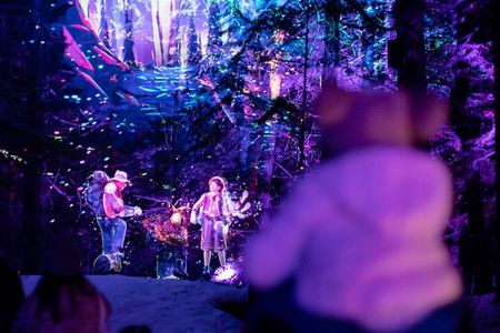 Vallea Lumina Multimedia Evening Experience
