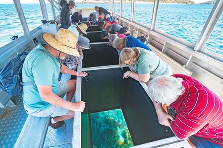 Great Keppel Island Glass Bottom Boat Tour & Ferry Transfer