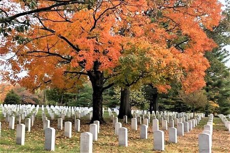 Day or Night National Mall Bus Tour with Arlington Cemetery Walk