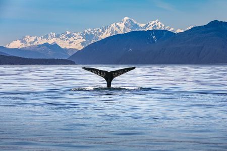 Kaikōura Day Tour From Christchurch With Whale Watch