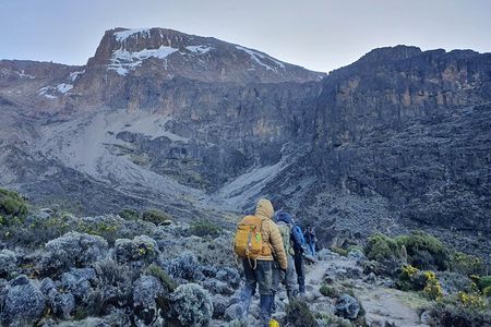 6 Days Climbing Mount Kilimanjaro Machame Route