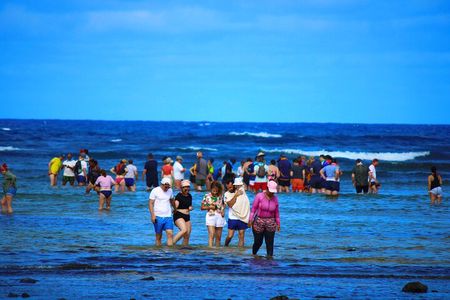 Private Full-Day Tour of Sal Island