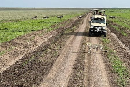 5-Day Tanzania Safari Holidays