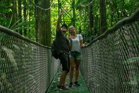 Limón Rainforest Hanging Bridges-Skywalk Tour & Tortuguero Canals